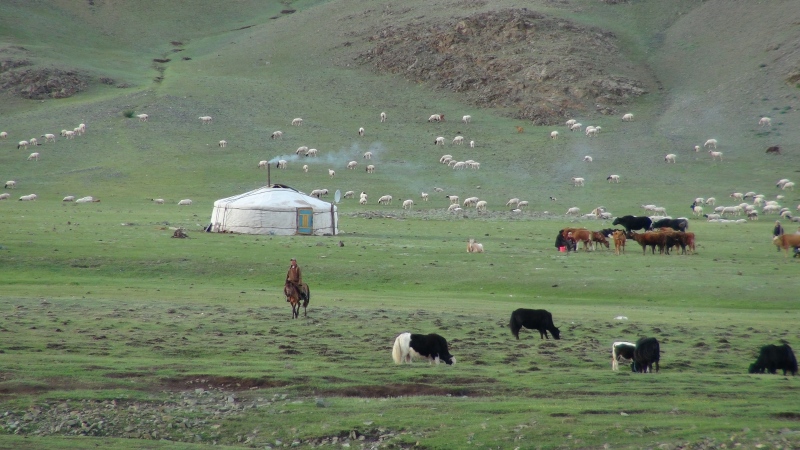 mongolska jurta